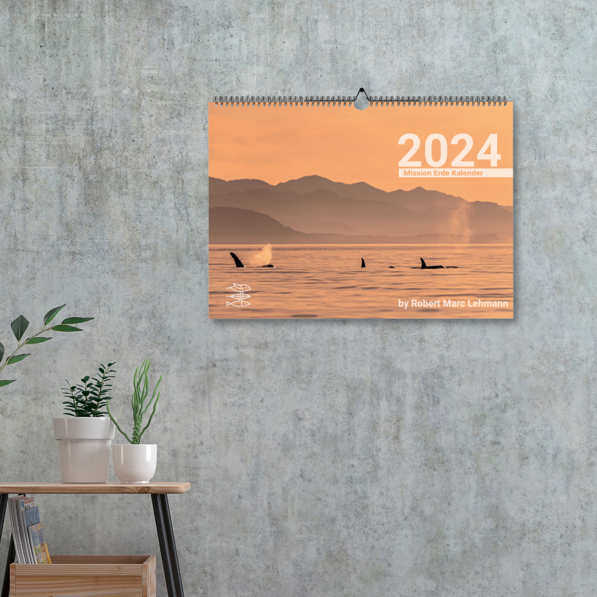 Mission Erde Kalender 2024