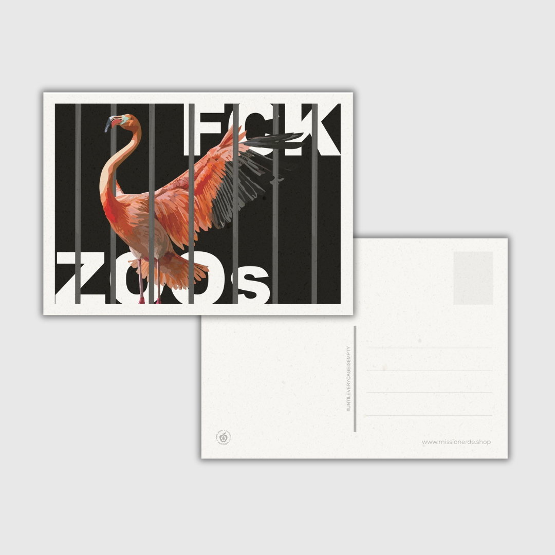 Postkarte "FCK ZOOs" Flamingo