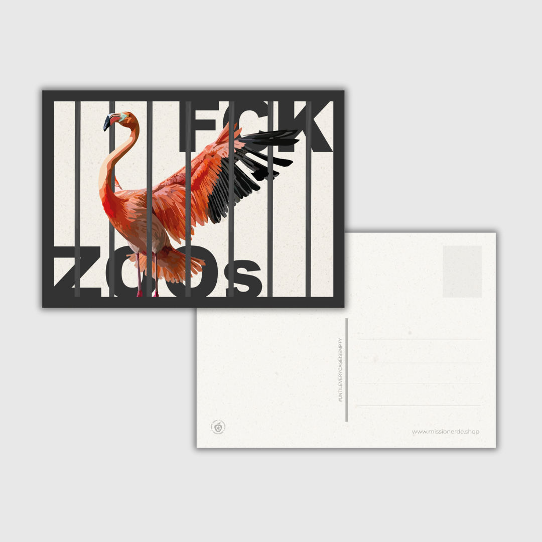 Postkarte "FCK ZOOs" Flamingo