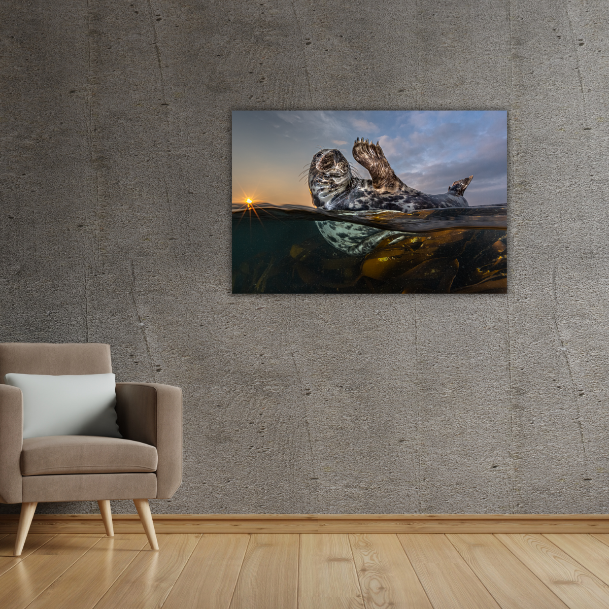 Winkende Robbe (Leinwandprint 60x90cm)