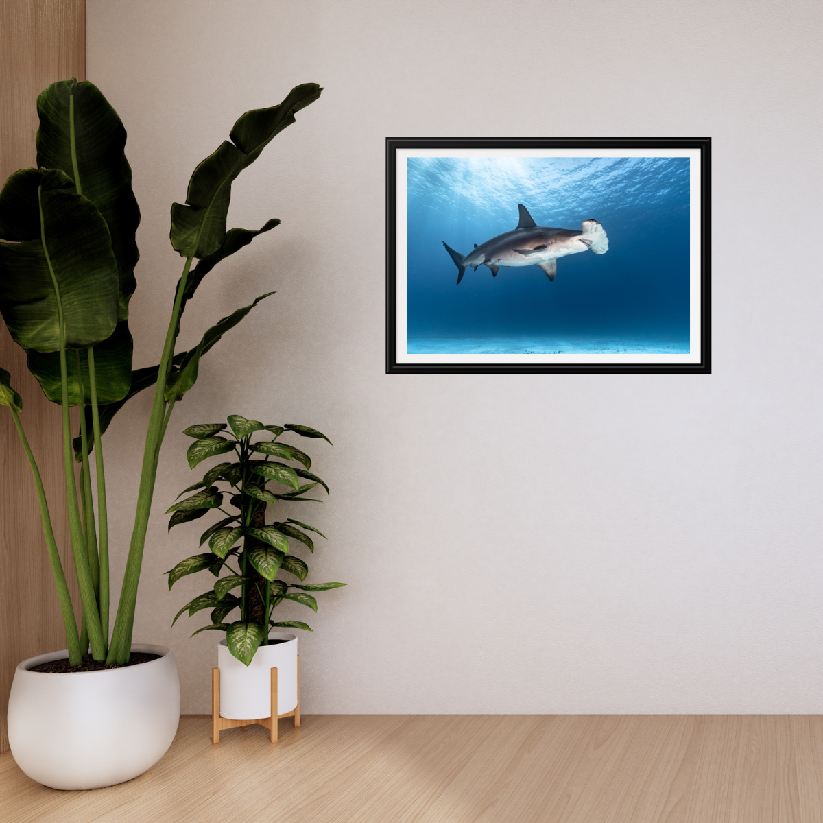Hammerhai (Fine Art Print 30x45cm)