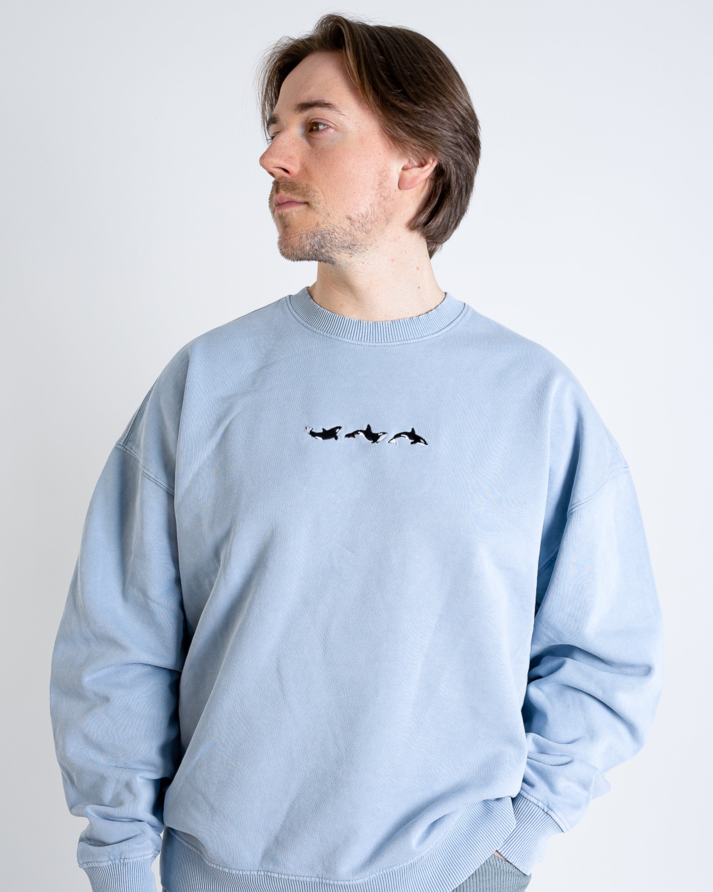 Oversize Vintage Sweatshirt "Orca"
