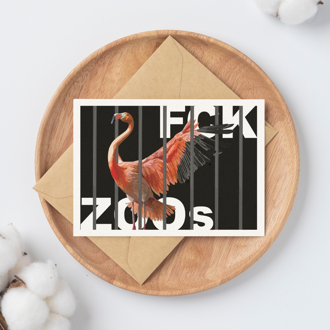 Postkarte "FCK ZOOs" Flamingo