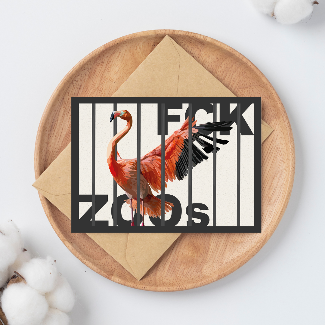 Postkarte "FCK ZOOs" Flamingo