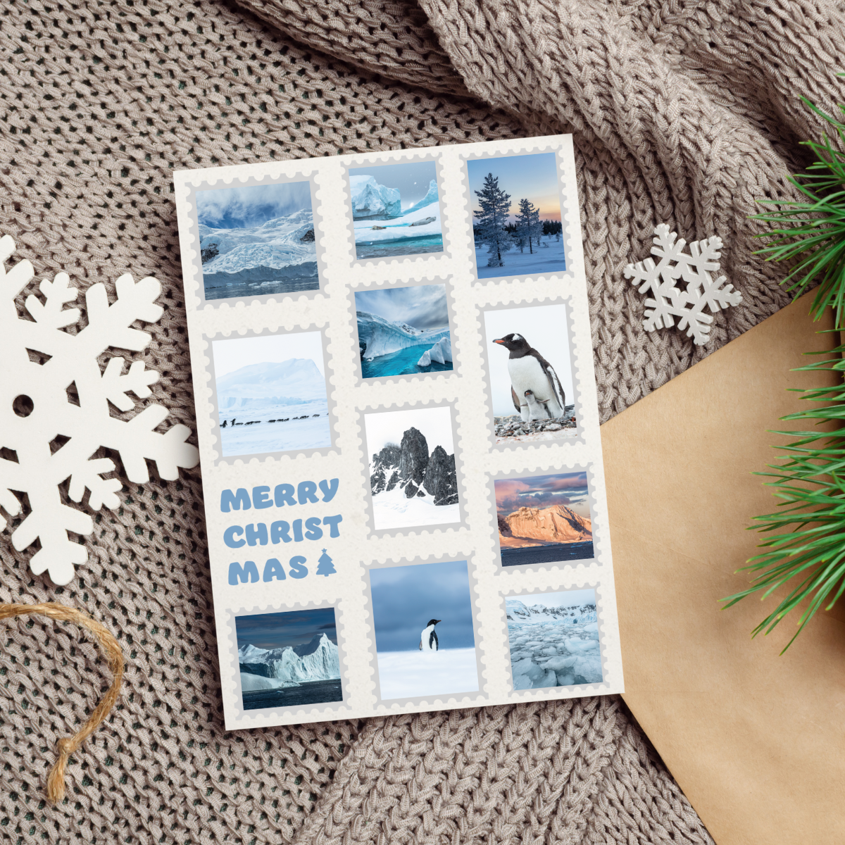 Weihnachtskarten 3er Set "Arktis"