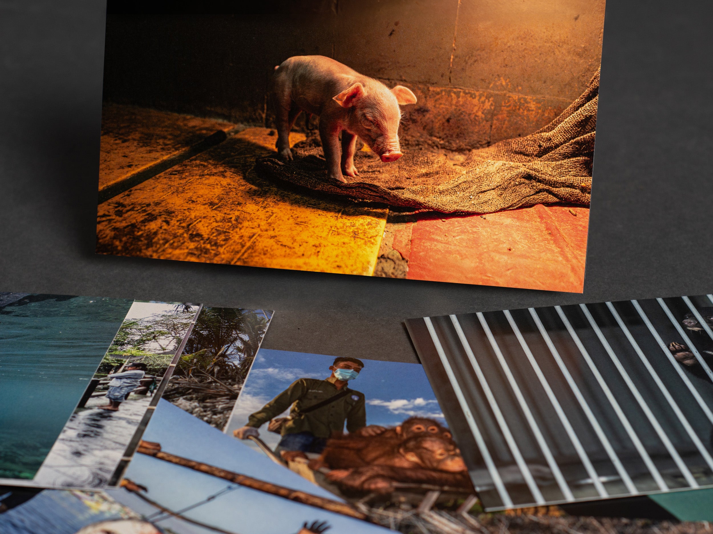 Missions Karten Set "Reminder"