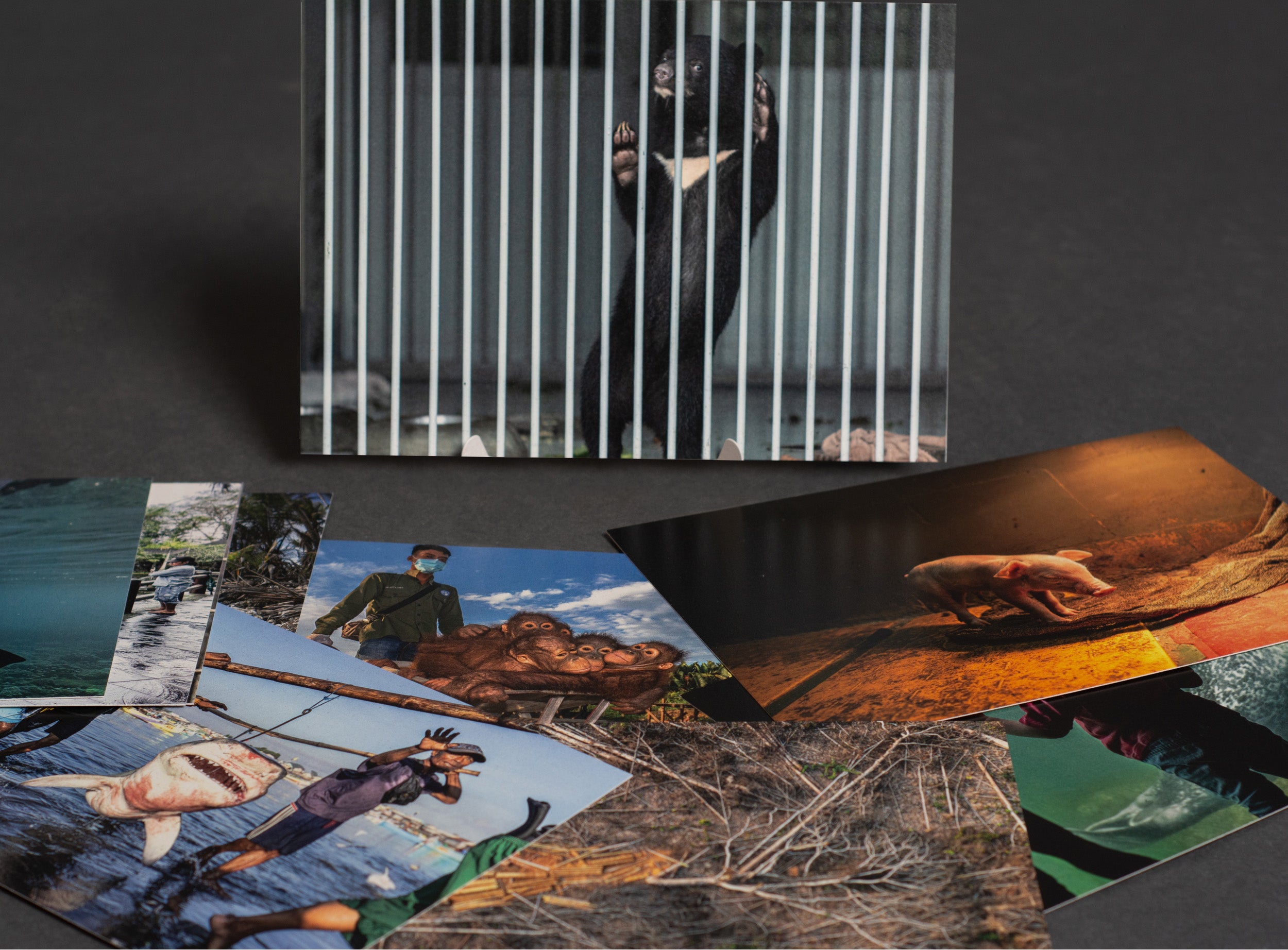 Missions Karten Set "Reminder"