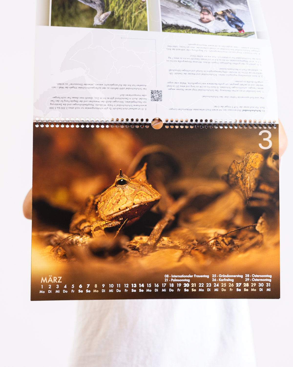 Mission Erde Kalender & Jahresplaner Bundle 2027