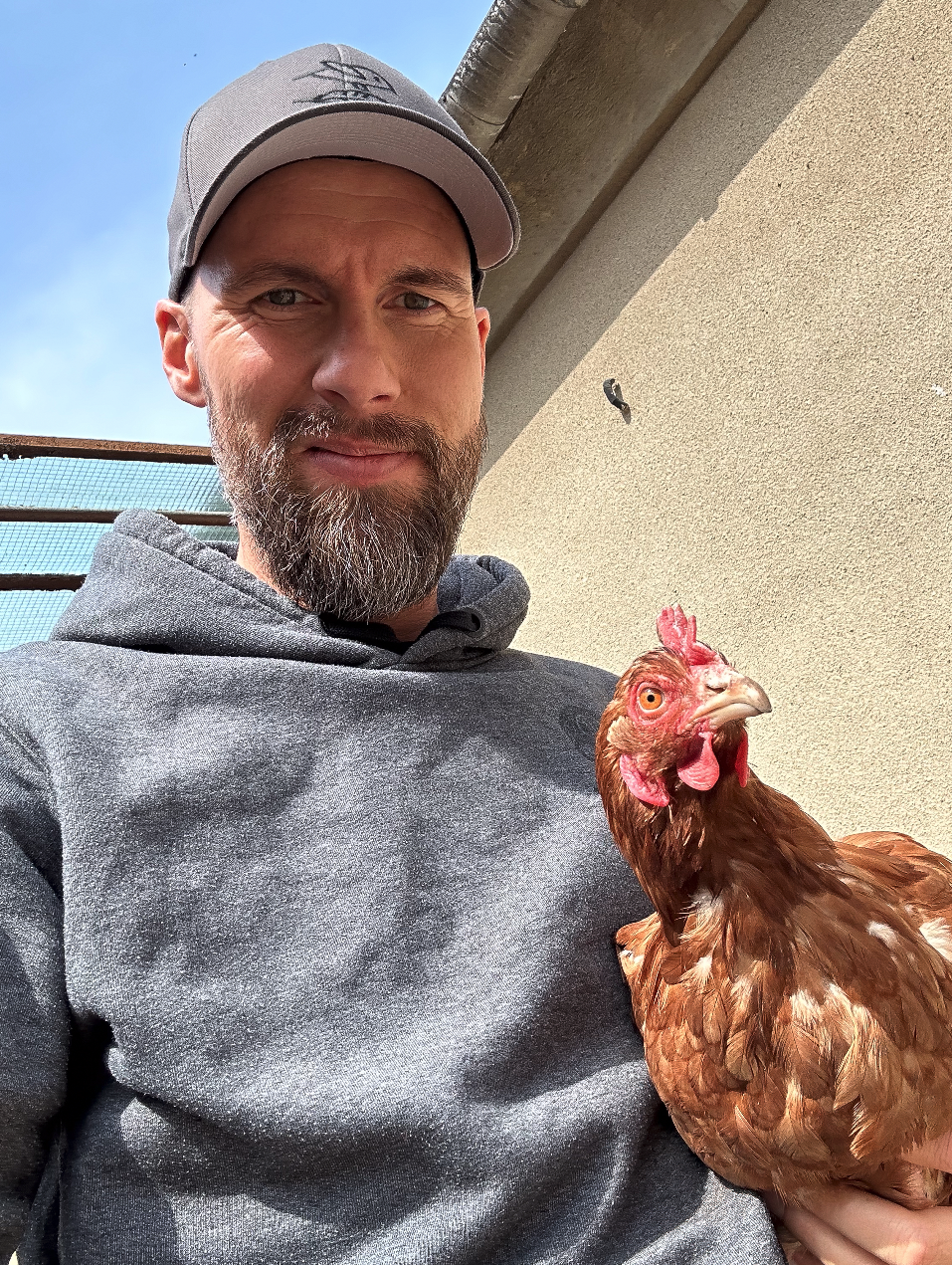 Socken "Huhn"