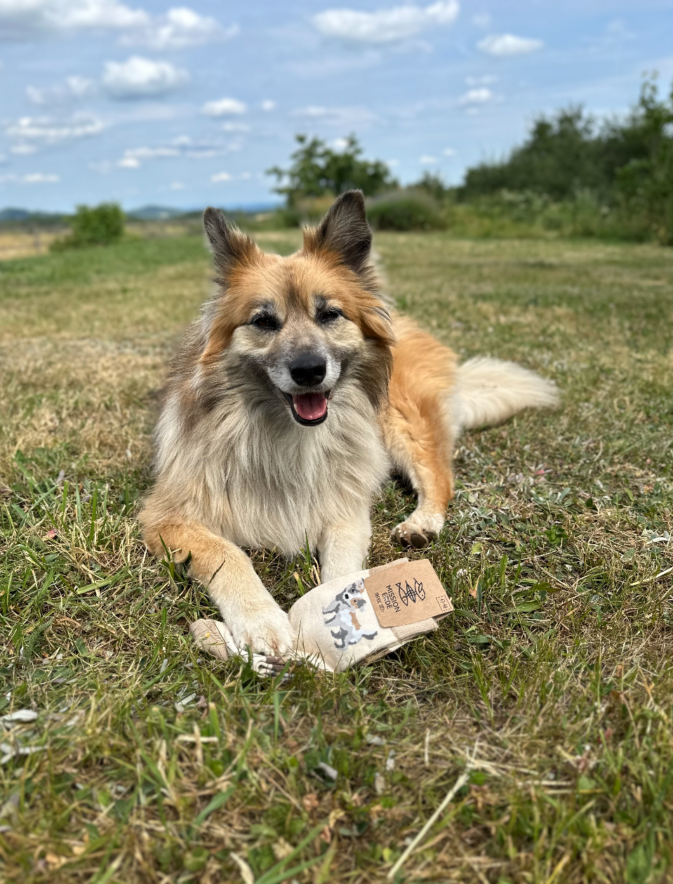 Socken "Hund"