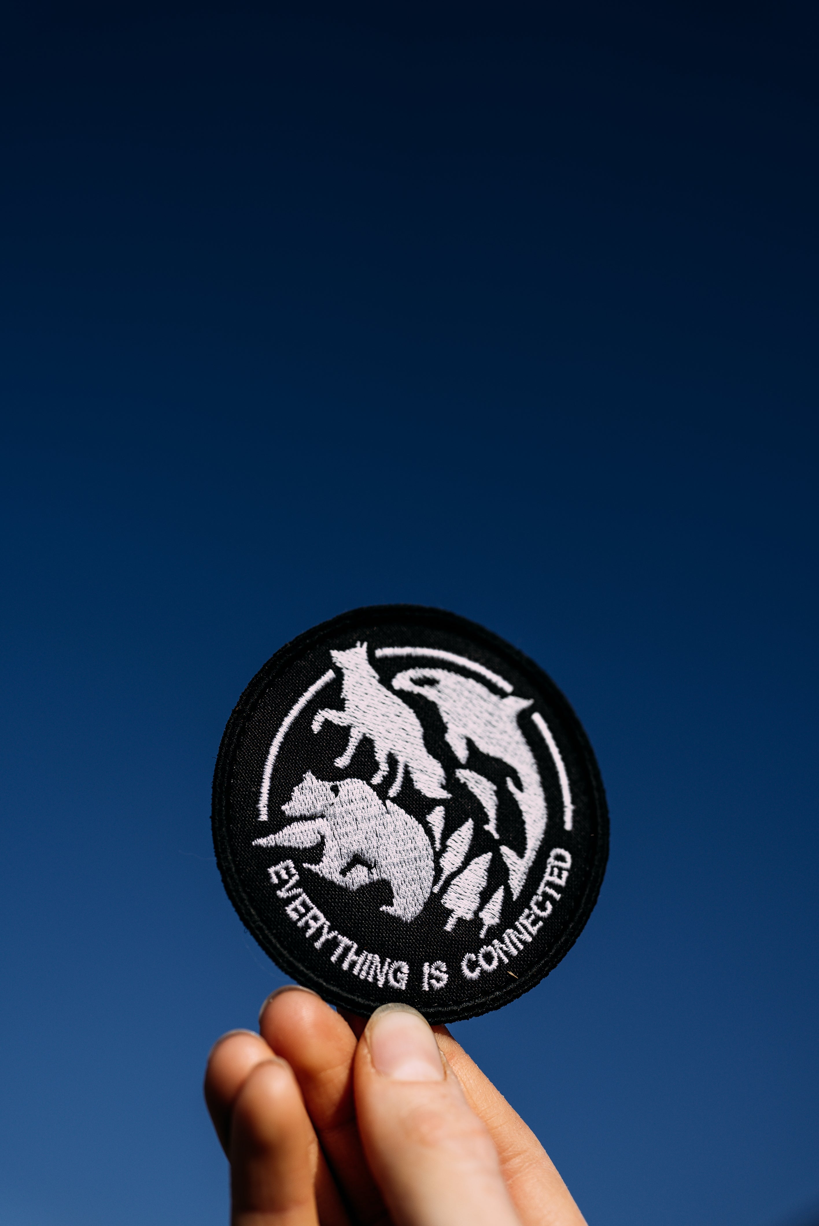 Patch "Everything is connected"