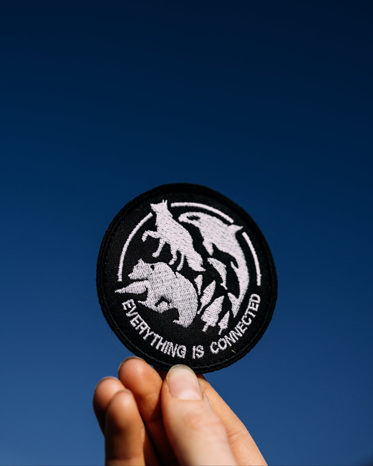 Patch "Everything is connected"