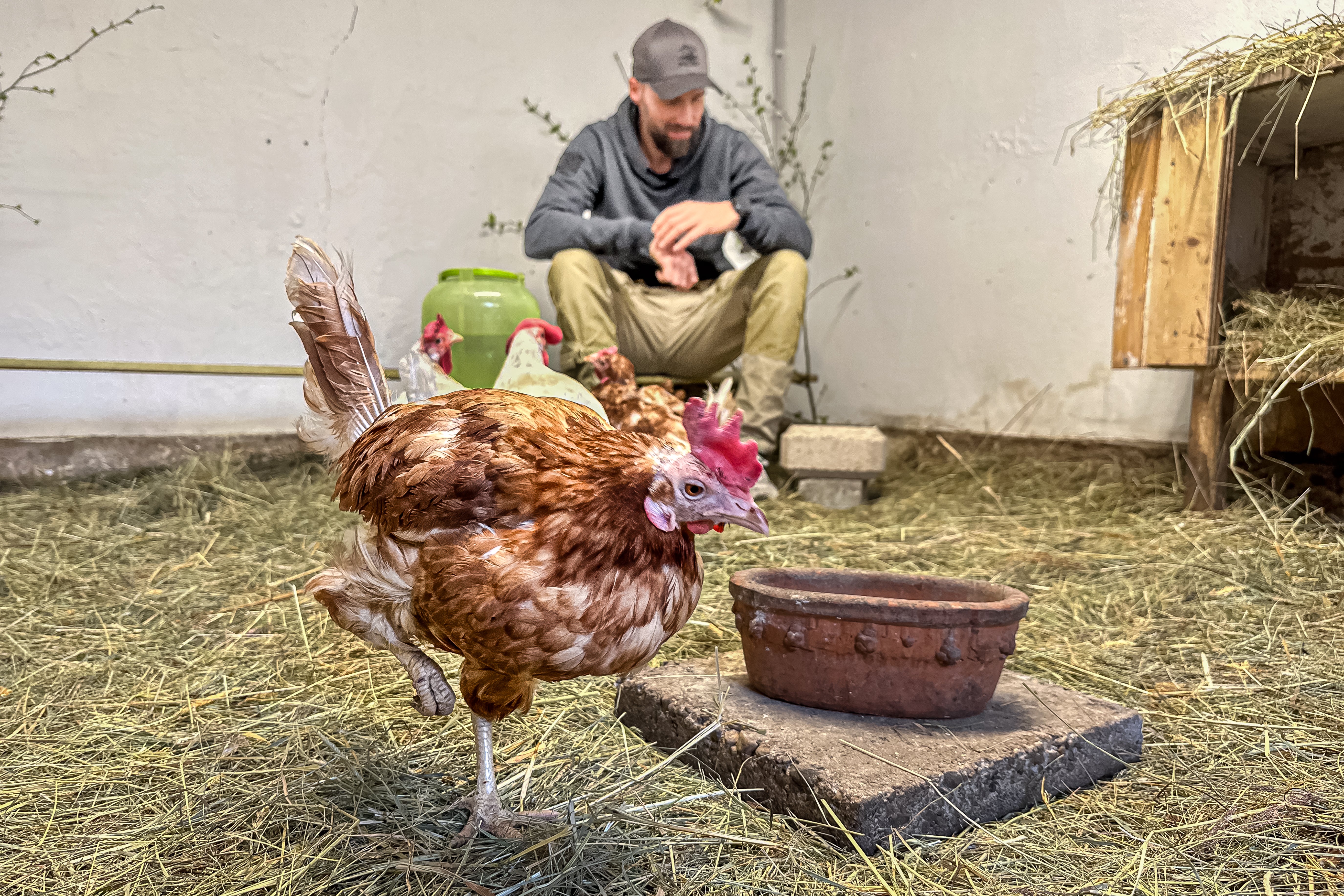 T-Shirt "Huhn"