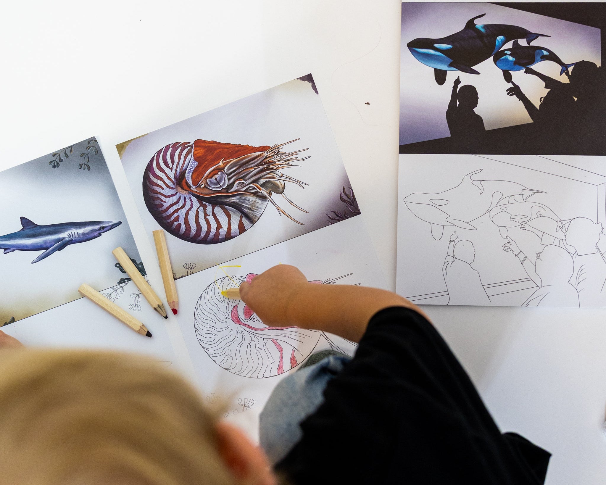 Bundle Malbuch + Buntstifte "Mission Erde 2.0"