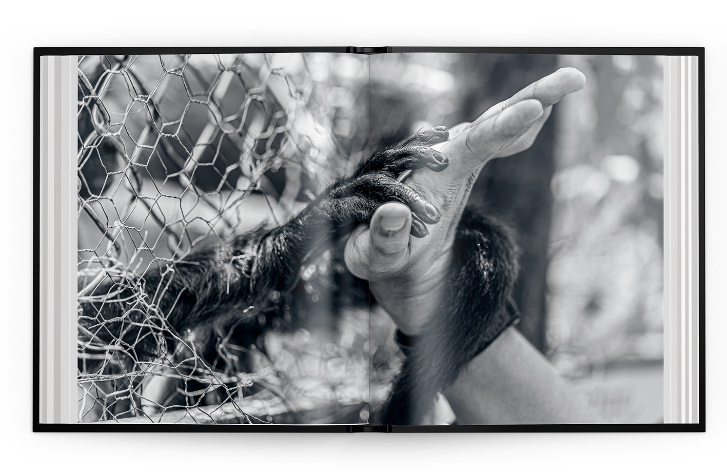 Mission Erde Bildband Missionkarten Bundle