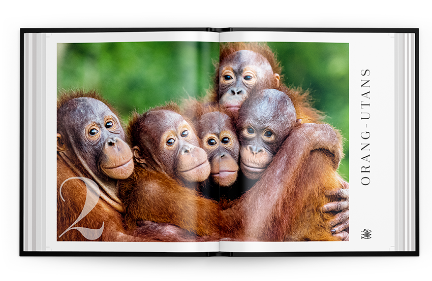 B-WARE: Mission Erde Bildband