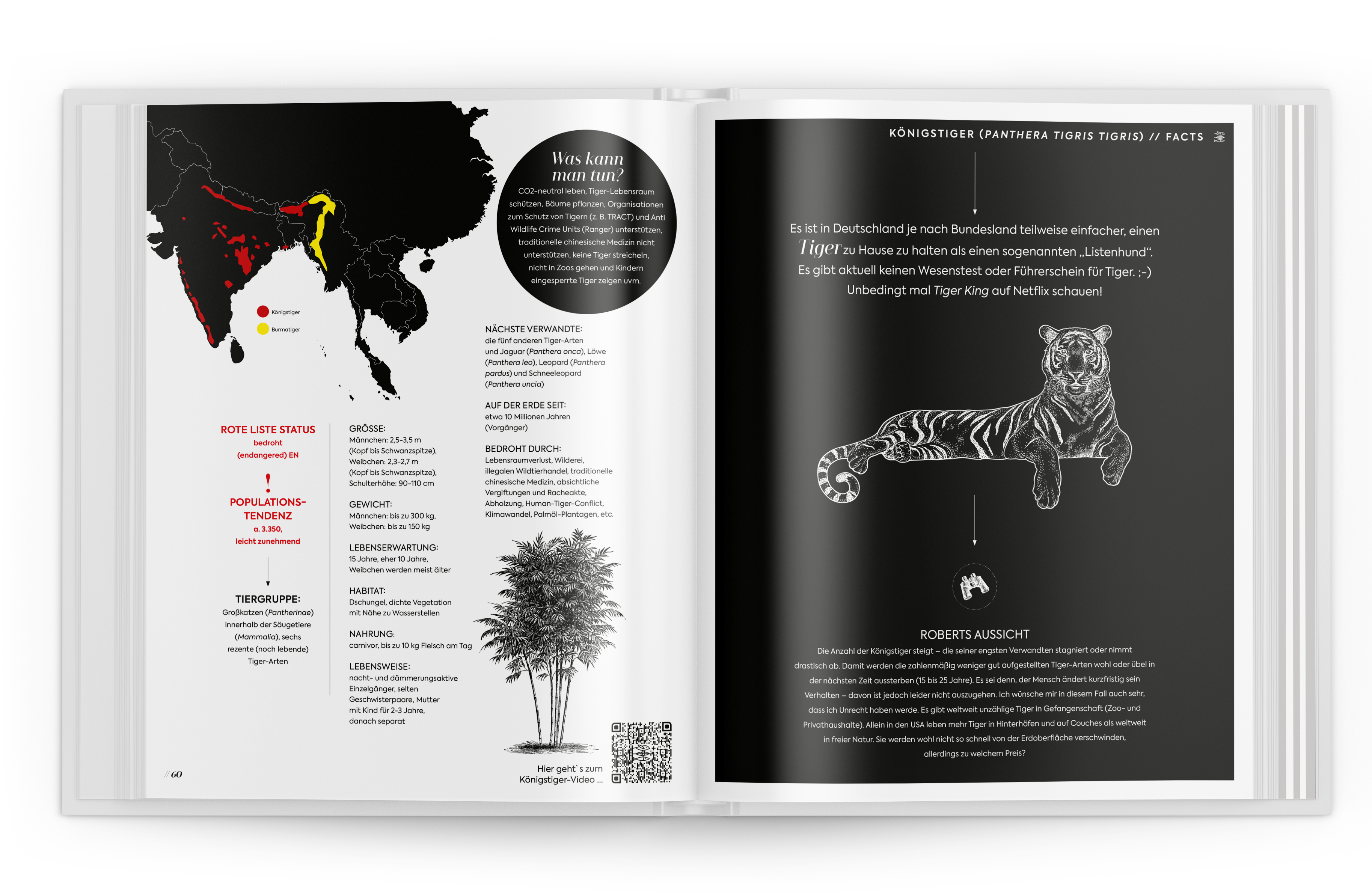 Mission Erde Bildband Missionkarten Bundle