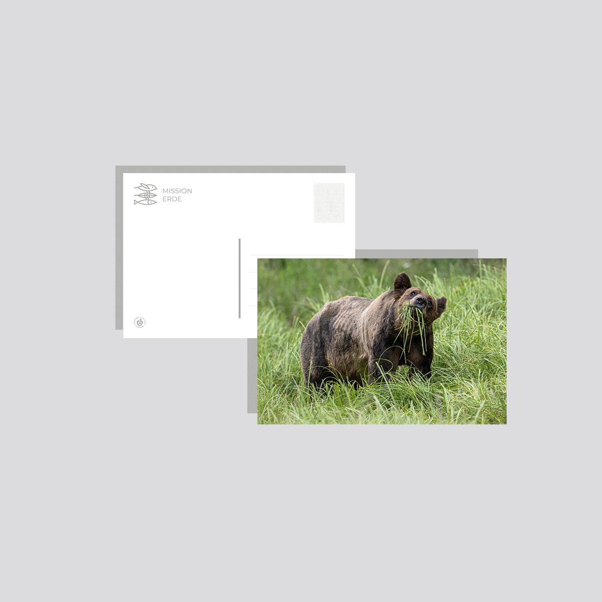 Postkarten/Minibilder 6er Set "Kanada"