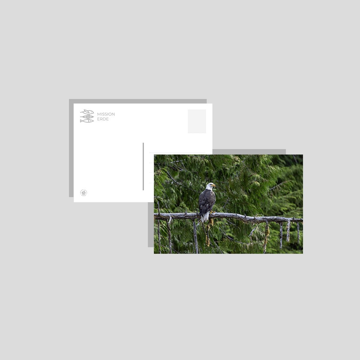 Postkarten/Minibilder 6er Set "Kanada"