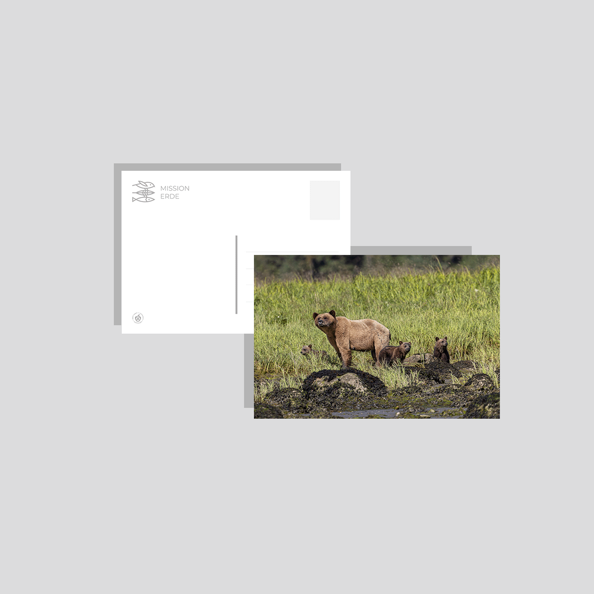 Postkarten/Minibilder 6er Set "Kanada"