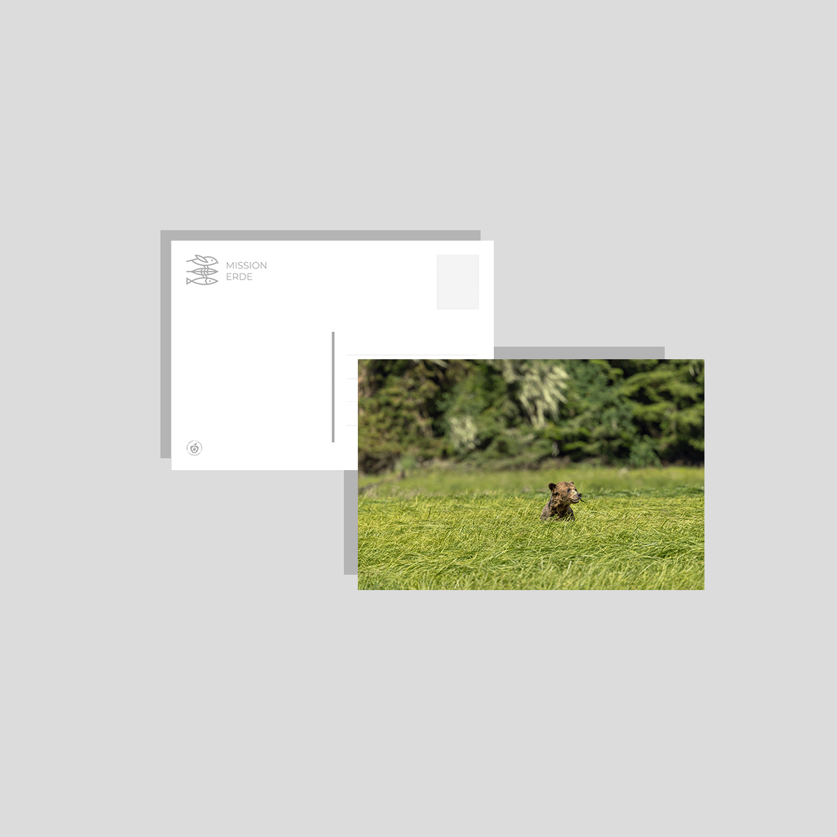 Postkarten/Minibilder 6er Set "Kanada"