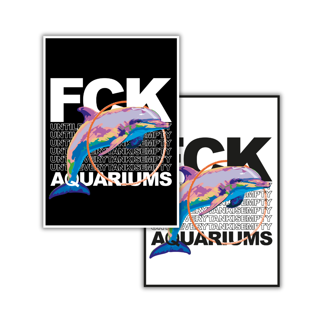 Postkarte "FCK AQUARIUMs" Delphin