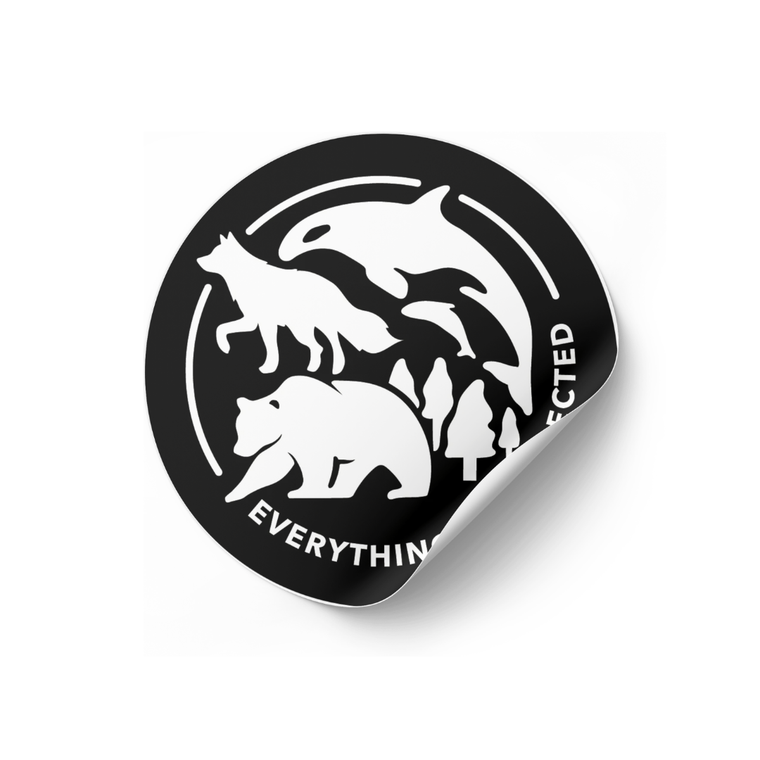 Autoaufkleber "Everything is connected"