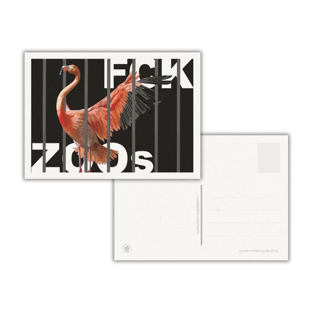 Postkarte "FCK ZOOs" Flamingo