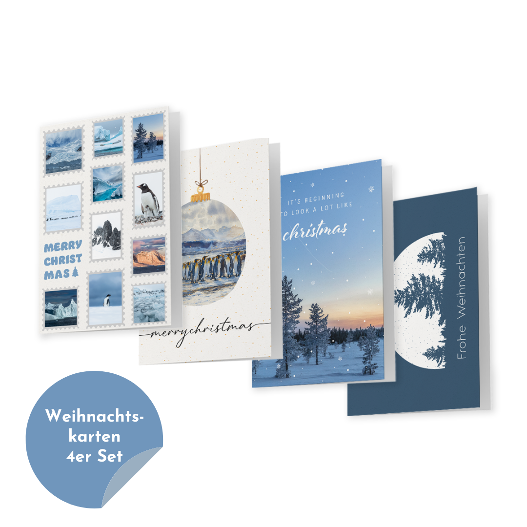 Weihnachtskarten 4er Set "Arktis"