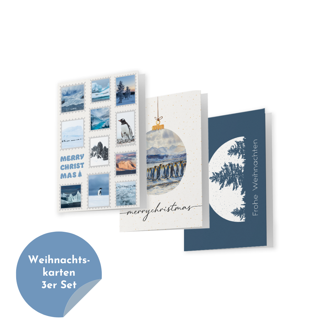 Weihnachtskarten 3er Set "Arktis"