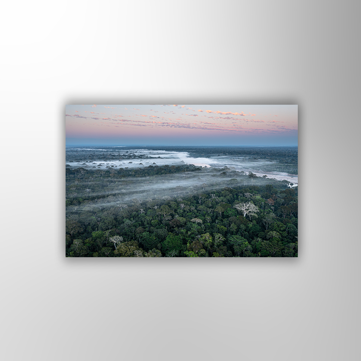 Mission Erde Regenwald (Fine Art Print 30x45cm)