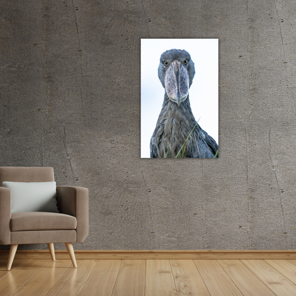 Schuhschnabel (Leinwandprint 60x90cm)