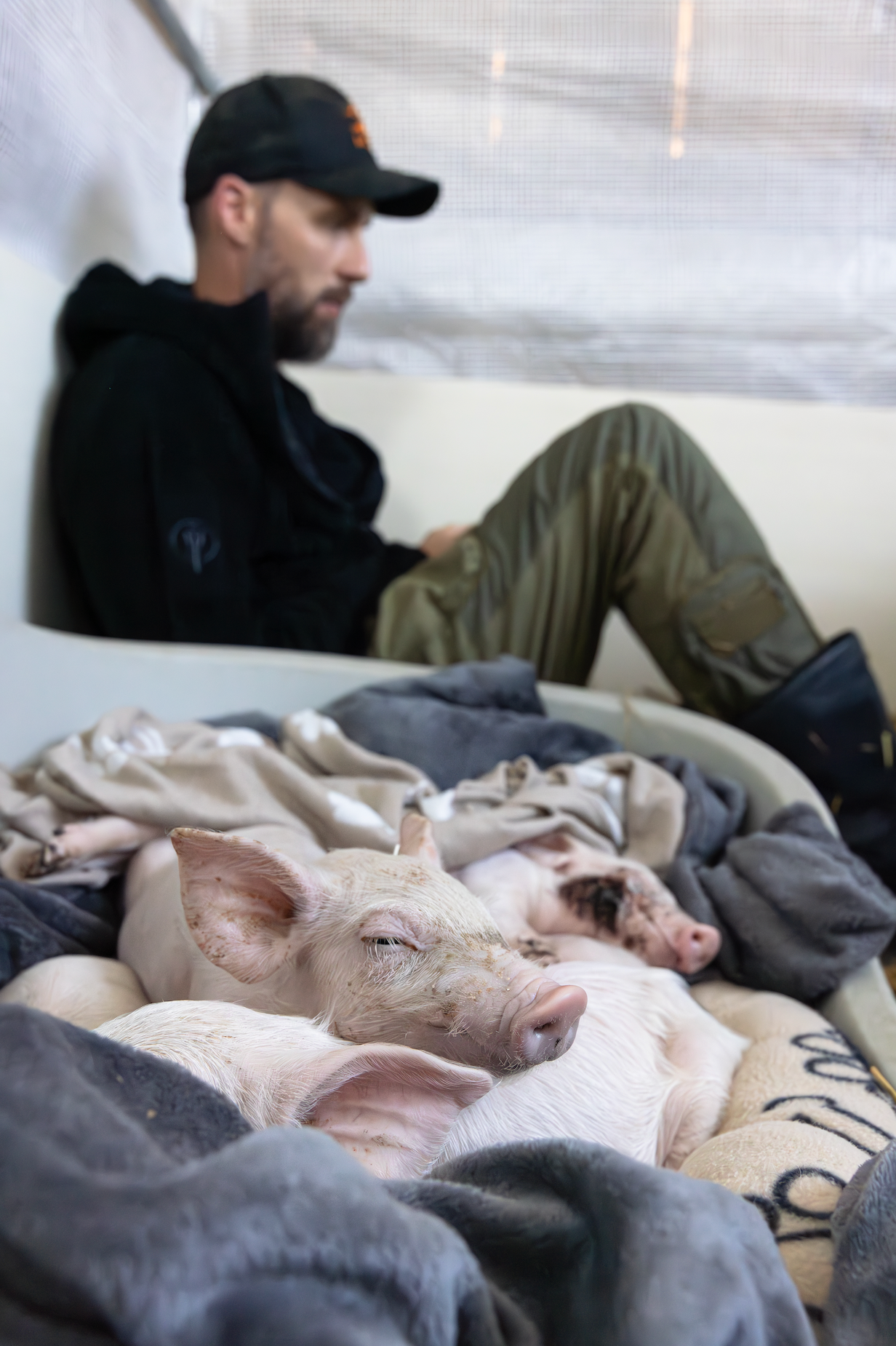 Socken "Schwein"