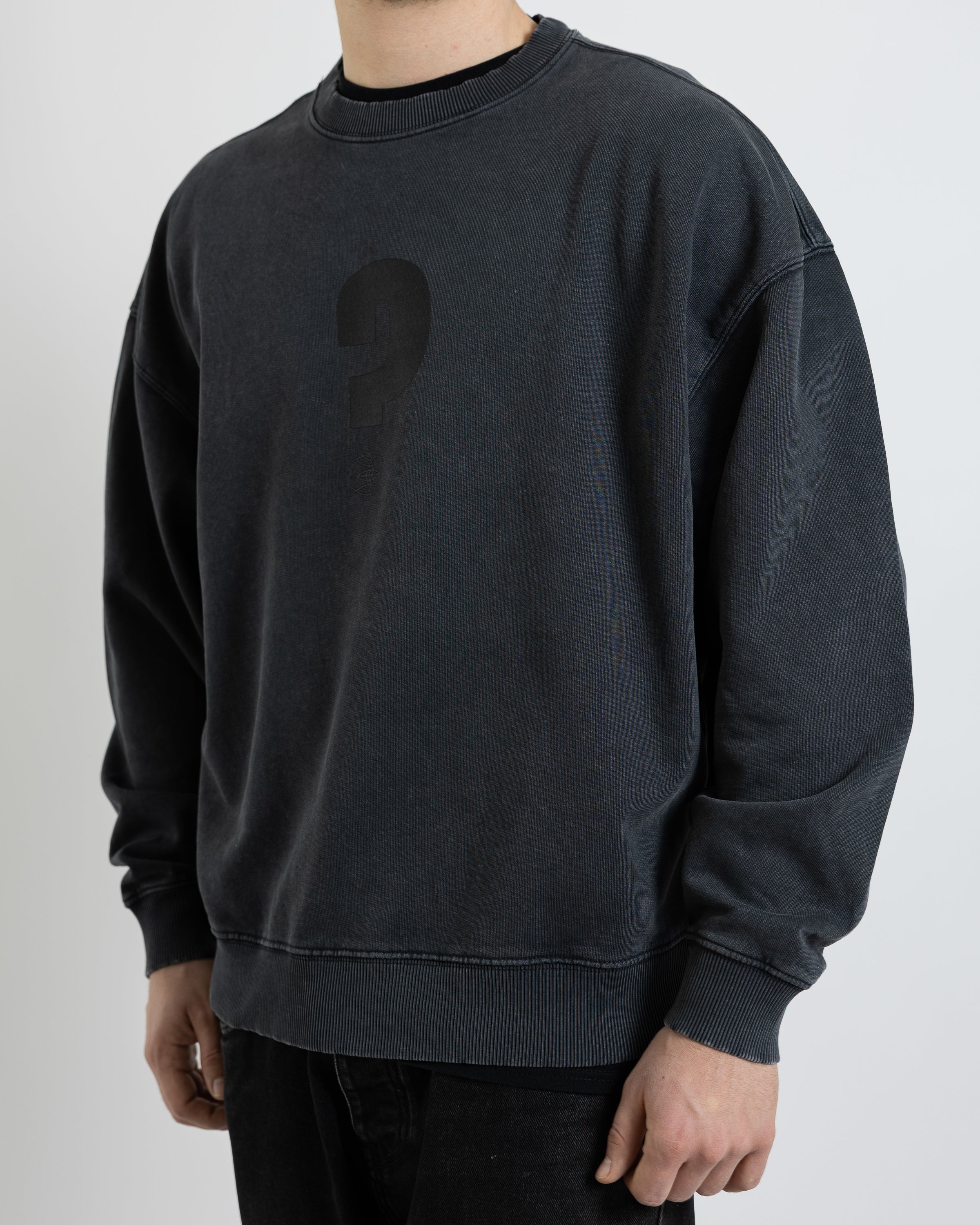 Unisex Oversize Sweatshirt "Warum"
