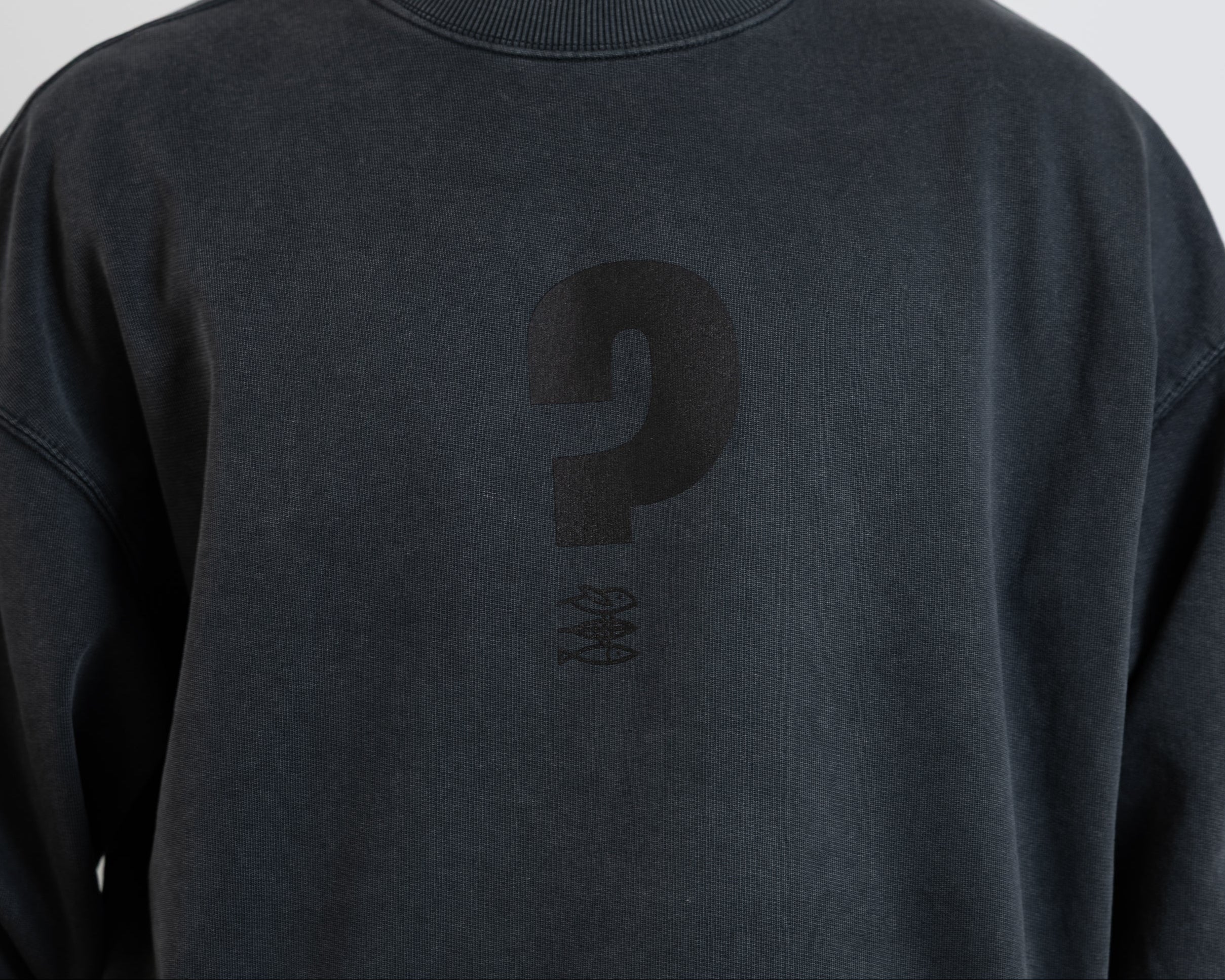 Unisex Oversize Sweatshirt "Warum"