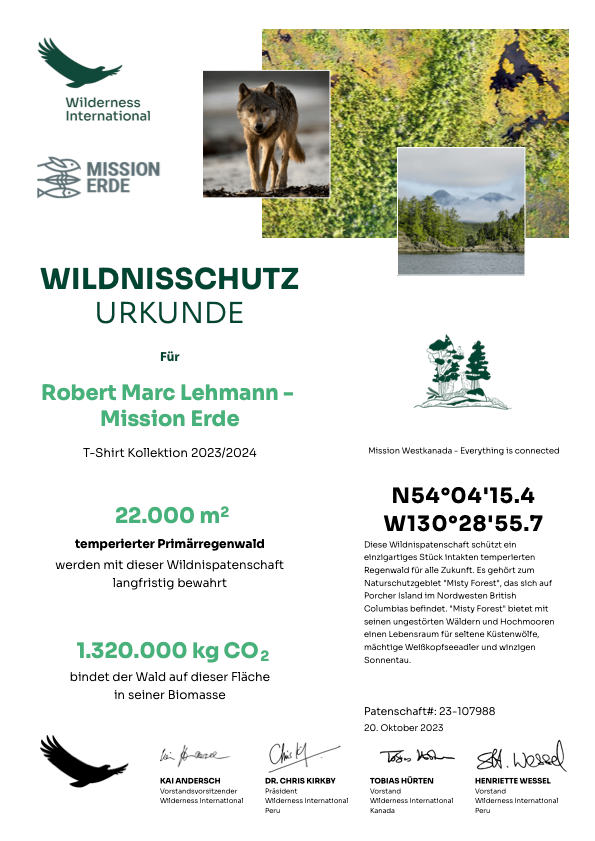 Mission Erde Men Shirt roundneck undyed