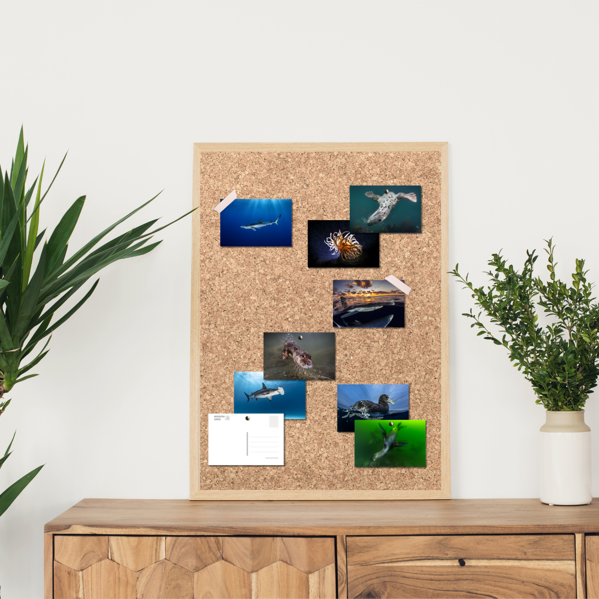 Postkarten/Minibilder 8er Set "Unterwasser"