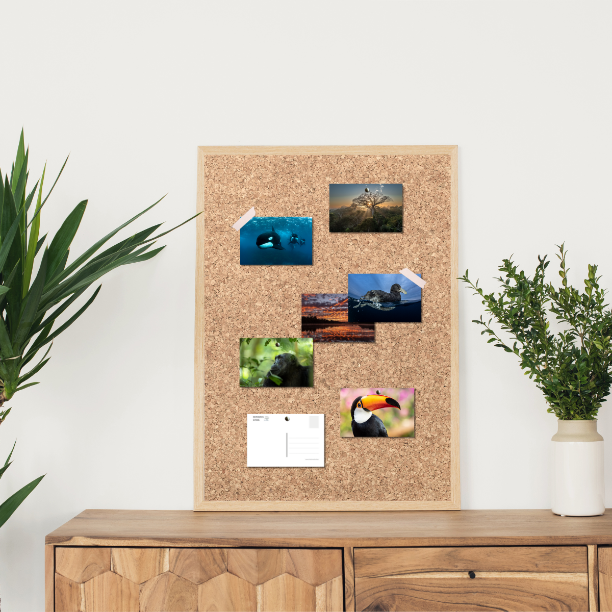 Postkarten/Minibilder 6er Set "Nature"