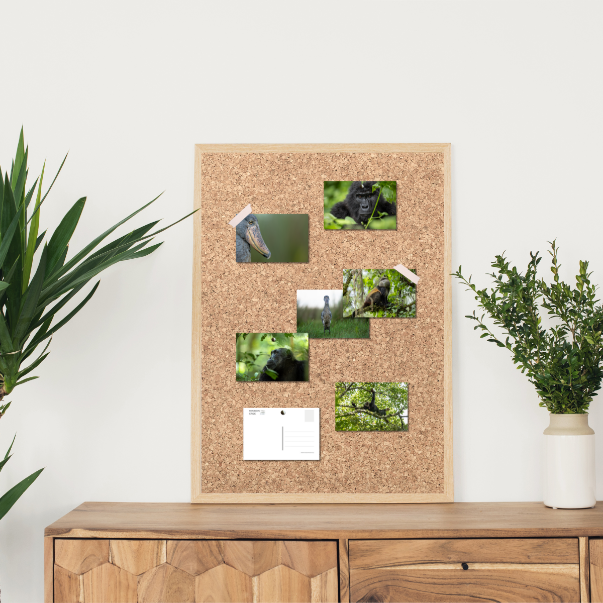 Postkarten/Minibilder 6er Set "Uganda"