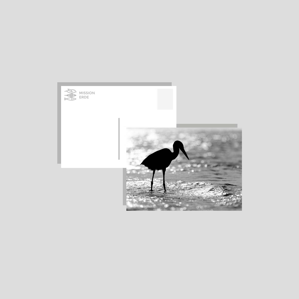 Postkarten/Minibilder 8er Set "B/W"