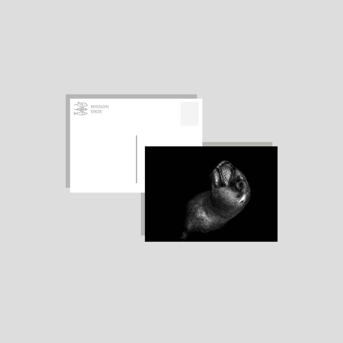 Postkarten/Minibilder 8er Set "B/W"