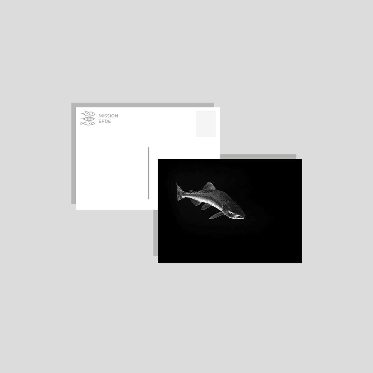 Postkarten/Minibilder 8er Set "B/W"