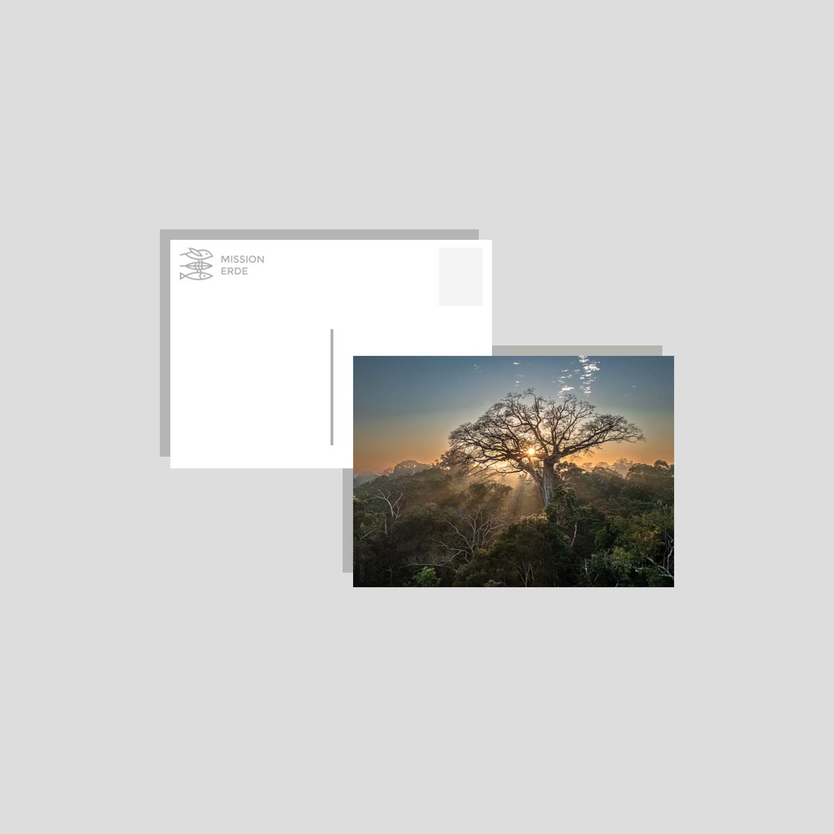 Postkarten/Minibilder 8er Set "Landschaften"