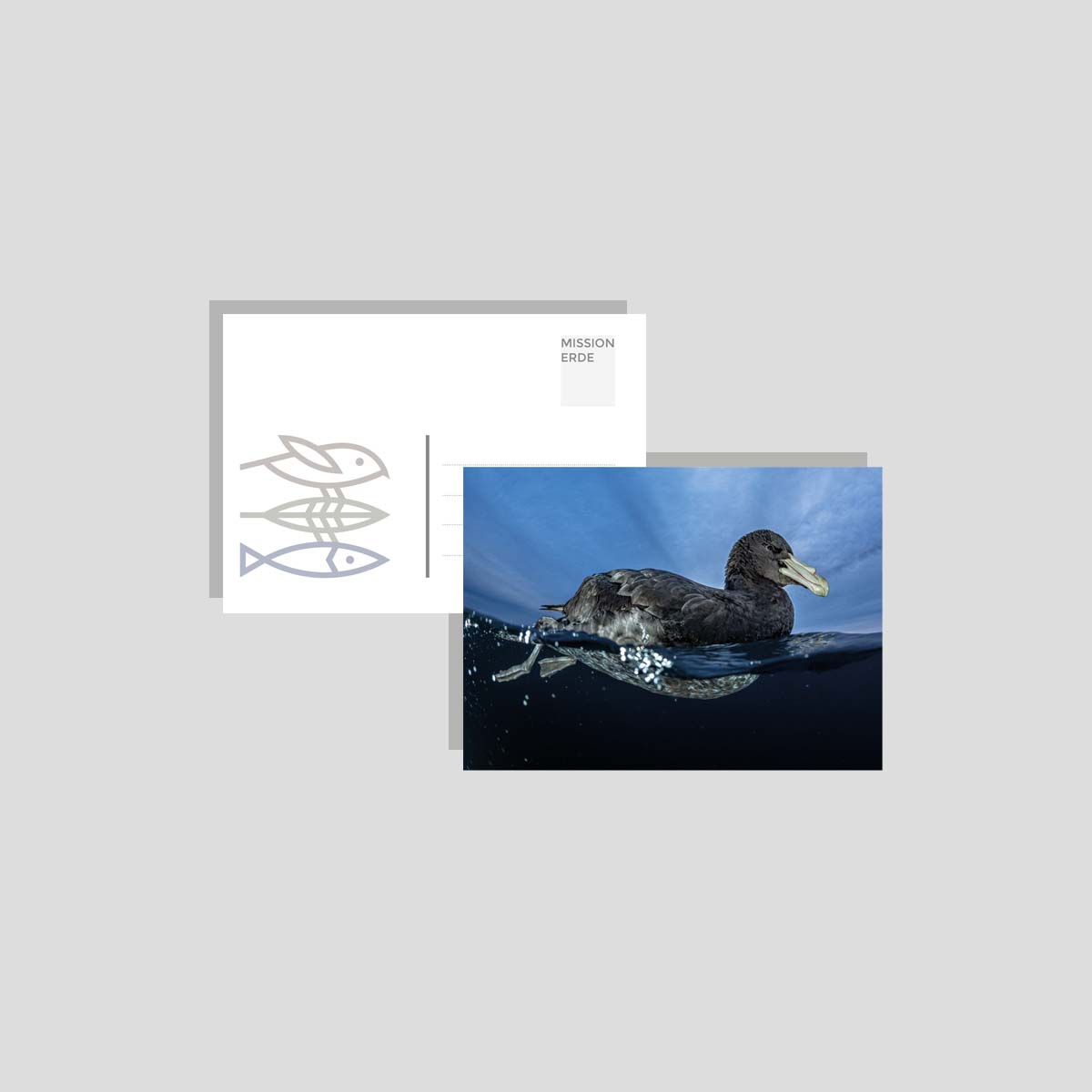 Postkarten/Minibilder 6er Set "Nature"