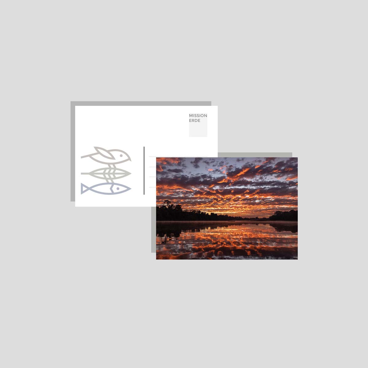 Postkarten/Minibilder 6er Set "Nature"