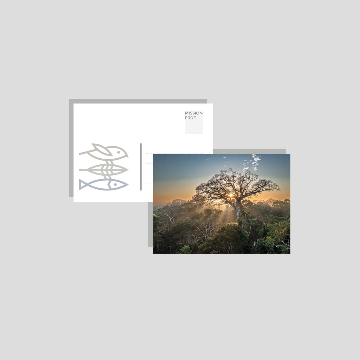 Postkarten/Minibilder 6er Set "Nature"