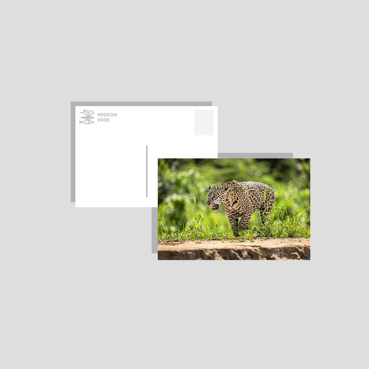 Postkarten/Minibilder 8er Set "Brasilien"
