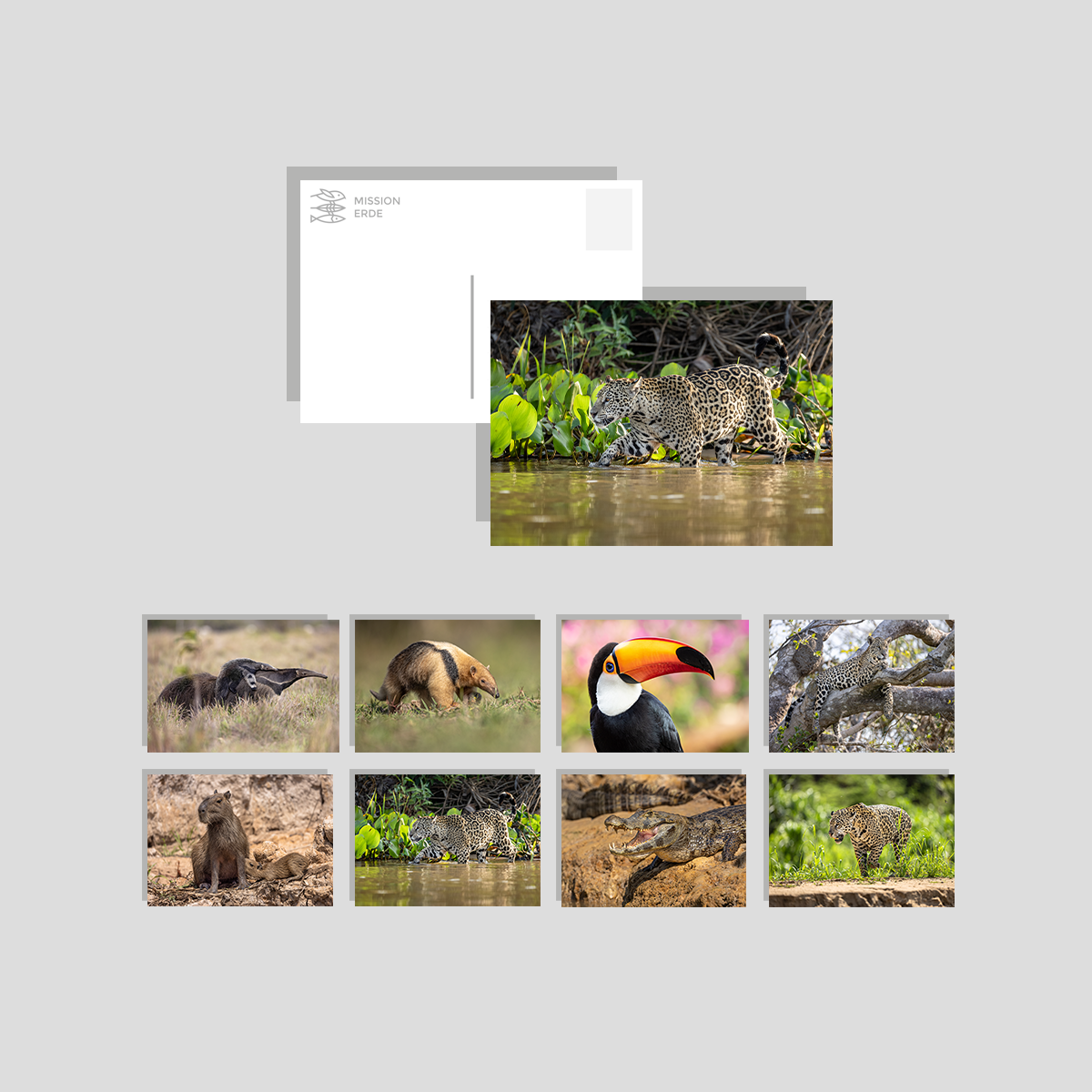 Postkarten/Minibilder 8er Set "Brasilien"