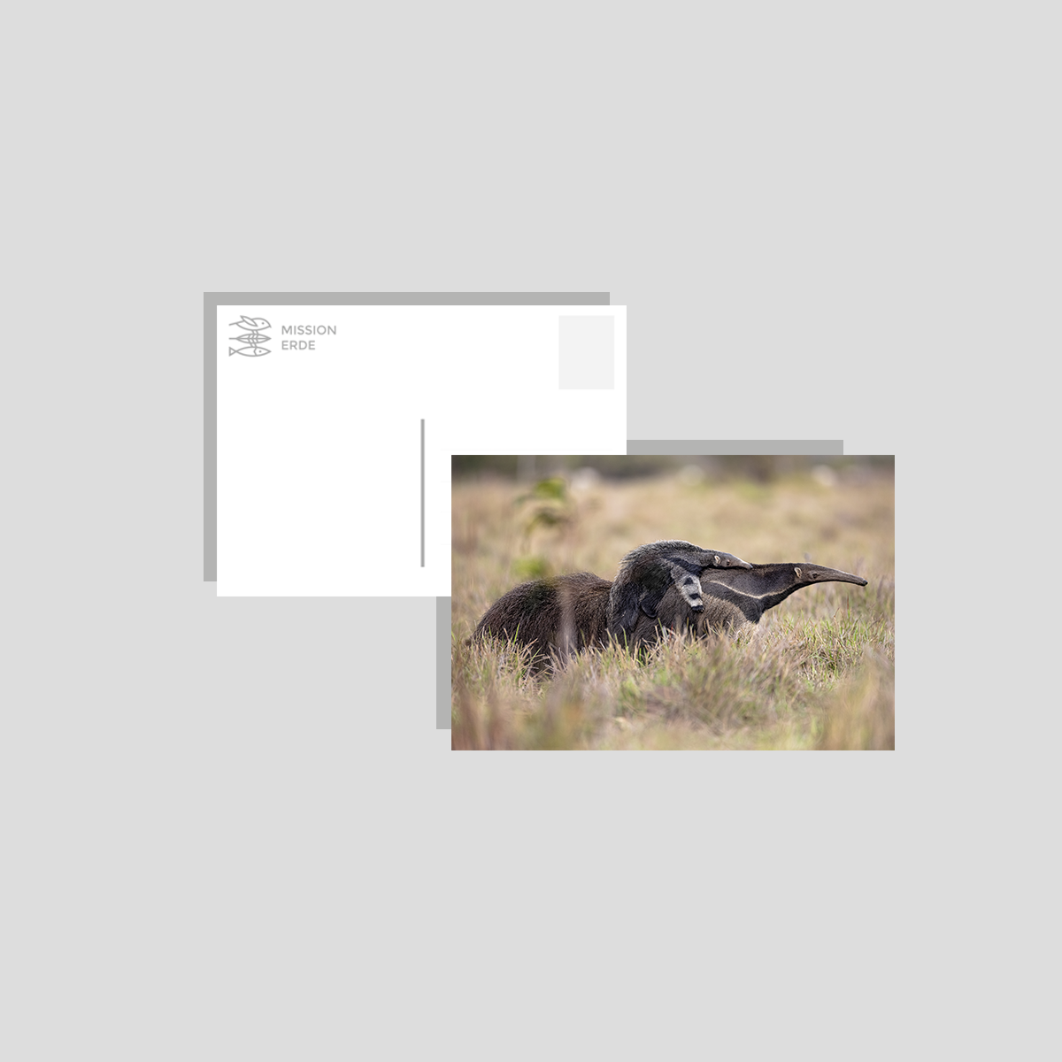 Postkarten/Minibilder 8er Set "Brasilien"