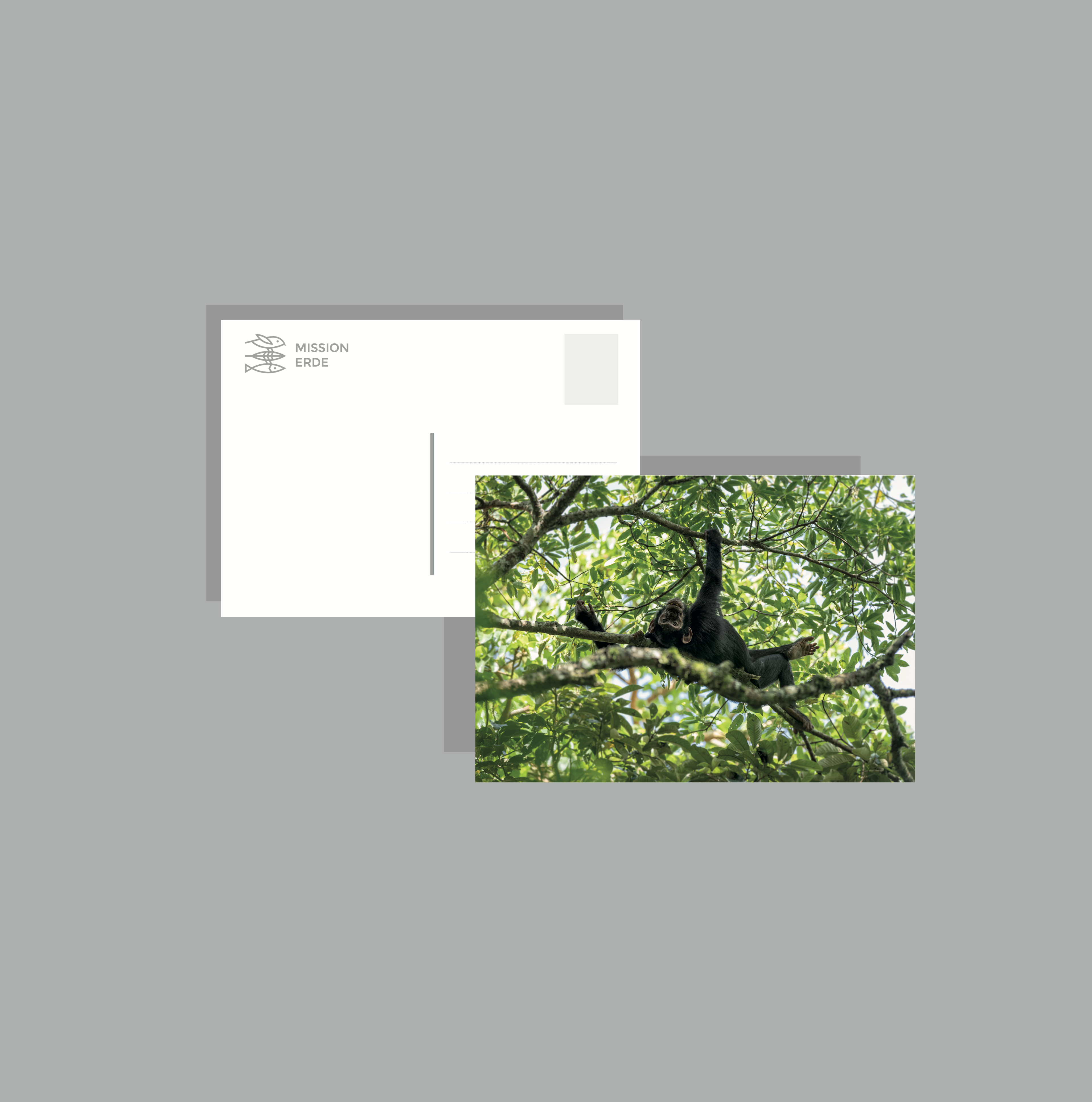 Postkarten/Minibilder 6er Set "Uganda"